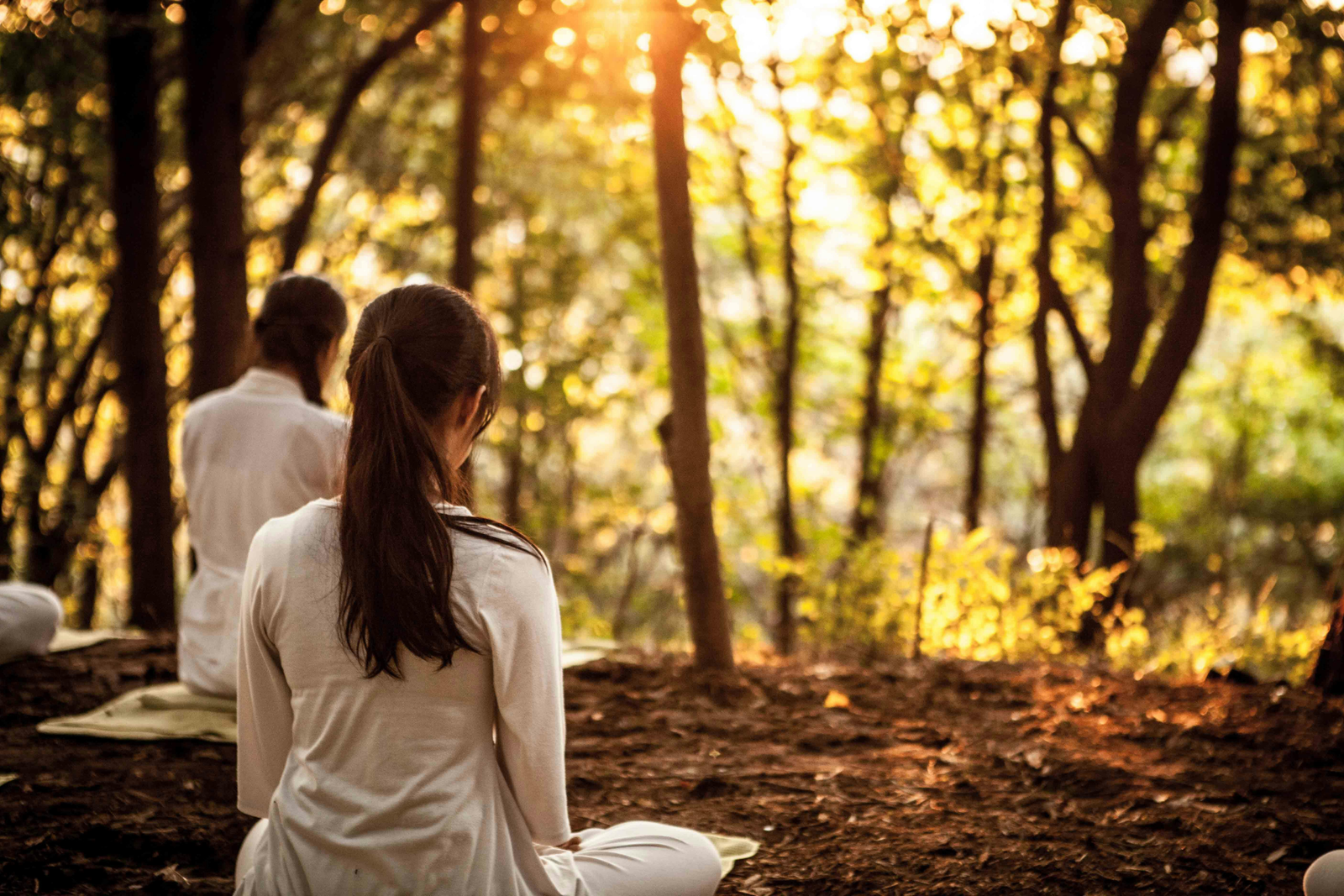 Raja Yoga Meditation Course - RAJA YOGA CENTER MUSCAT OMAN